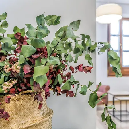 Апартаменты Viana & Centro Historico Кордова