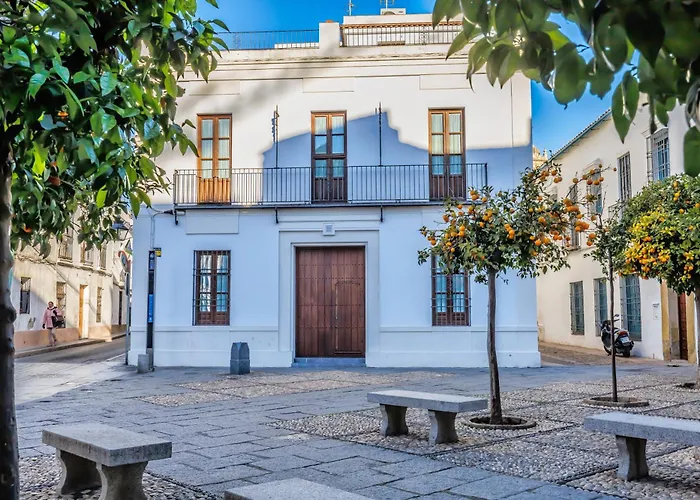 Viana & Centro Historico *