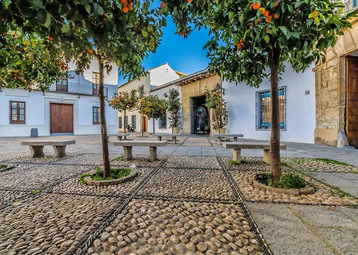 Viana & Centro Historico