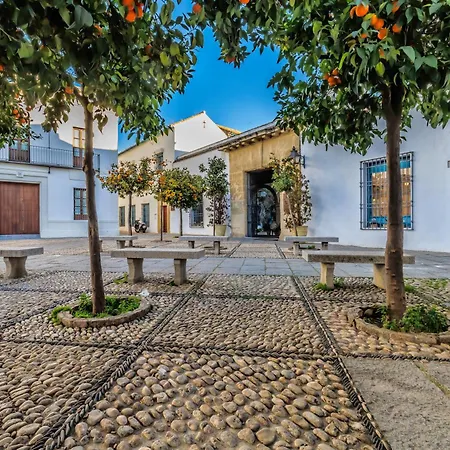 Viana & Centro Historico