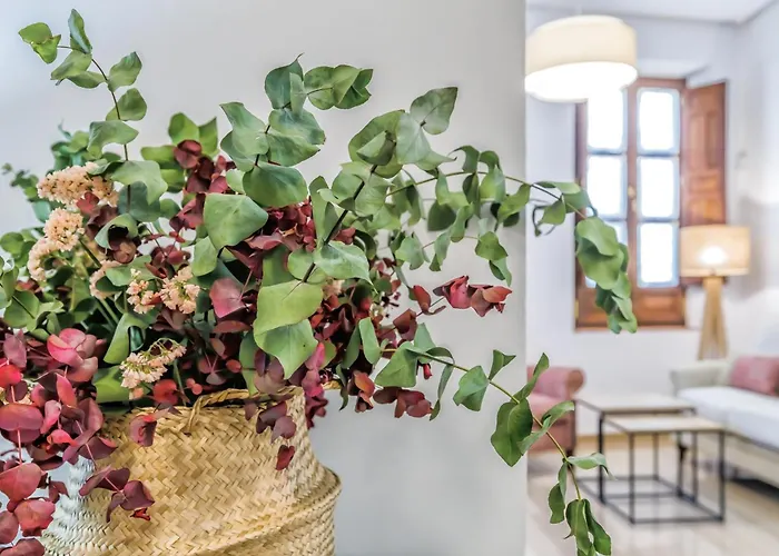 Apartament Viana & Centro Historico Kordoba